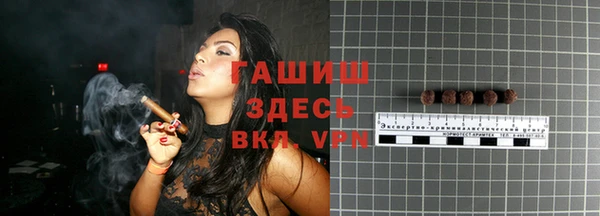 шишки Арсеньев