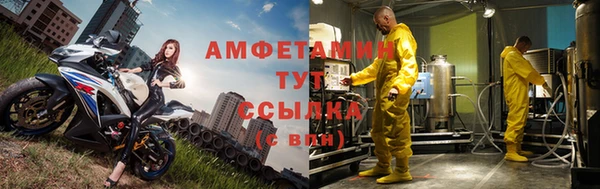 шишки Арсеньев