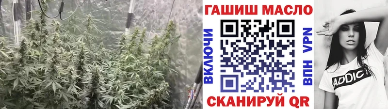 Дистиллят ТГК гашишное масло  Купить  Старая Купавна 