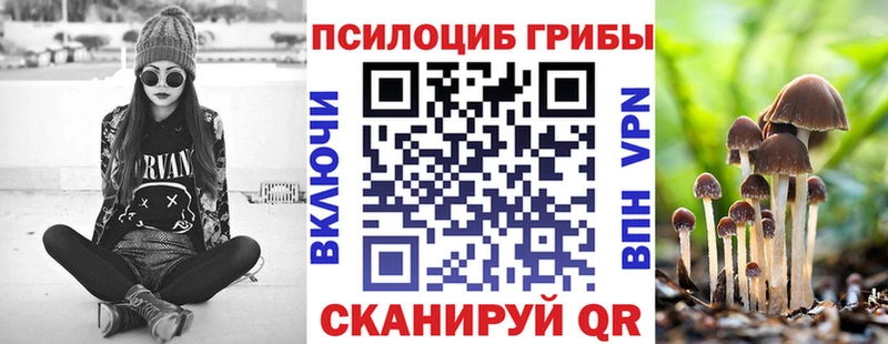 Галлюциногенные грибы прущие грибы  Купить где  Старая Купавна 